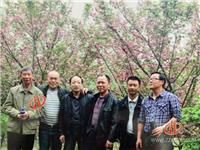 公司活动2